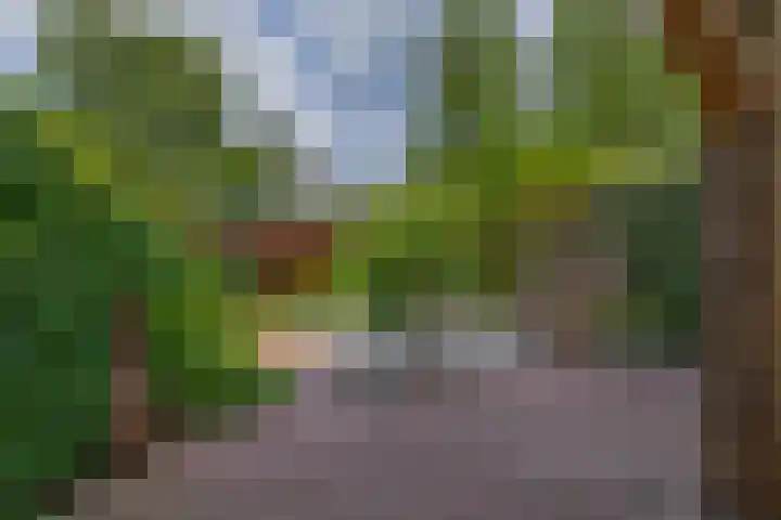 Peuleyen 128 Waddinxveen thumbnail 33