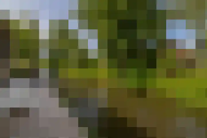 Peuleyen 128 Waddinxveen thumbnail 37
