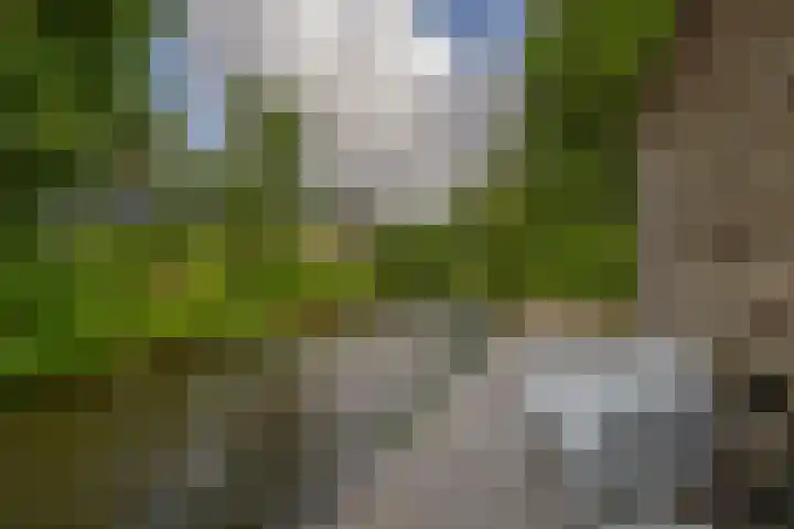 Peuleyen 128 Waddinxveen thumbnail 38