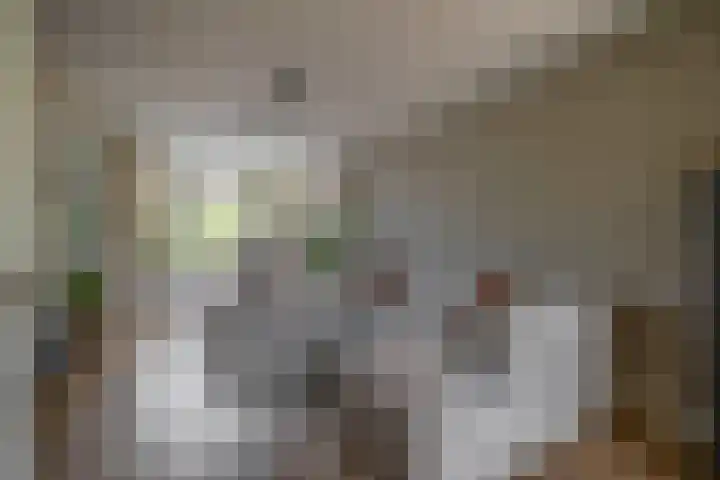 Peuleyen 128 Waddinxveen thumbnail 4
