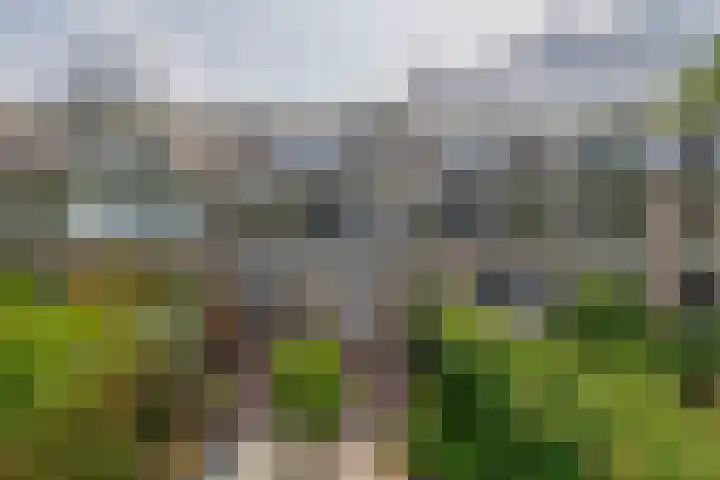 Peuleyen 128 Waddinxveen thumbnail 40