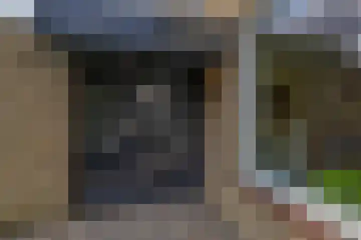 Peuleyen 128 Waddinxveen thumbnail 42