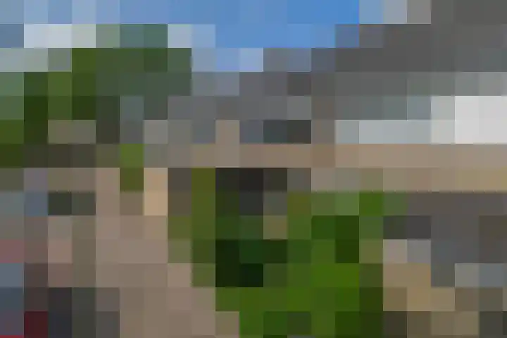 Peuleyen 128 Waddinxveen thumbnail 45