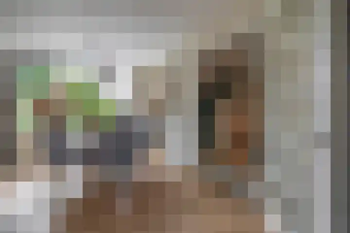 Peuleyen 128 Waddinxveen thumbnail 6