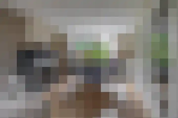 Peuleyen 128 Waddinxveen thumbnail 7