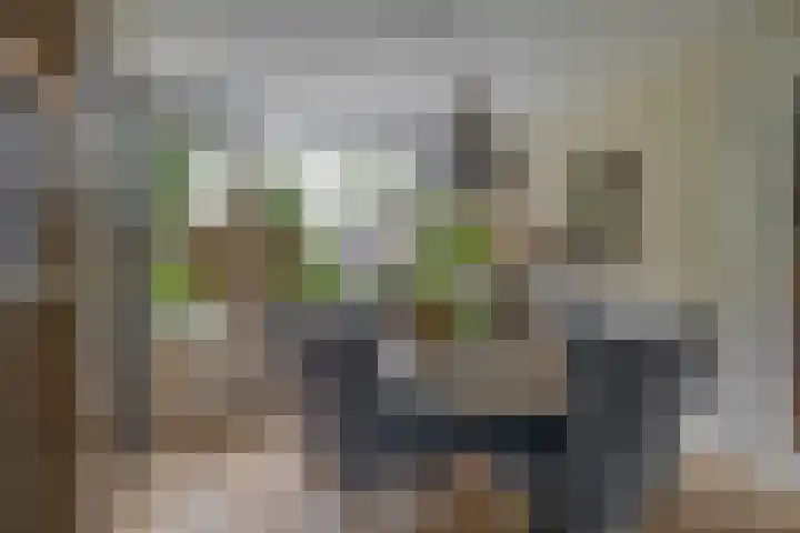 Peuleyen 128 Waddinxveen thumbnail 8