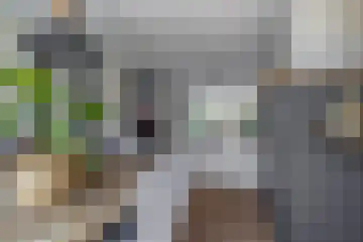 Peuleyen 128 Waddinxveen thumbnail 9