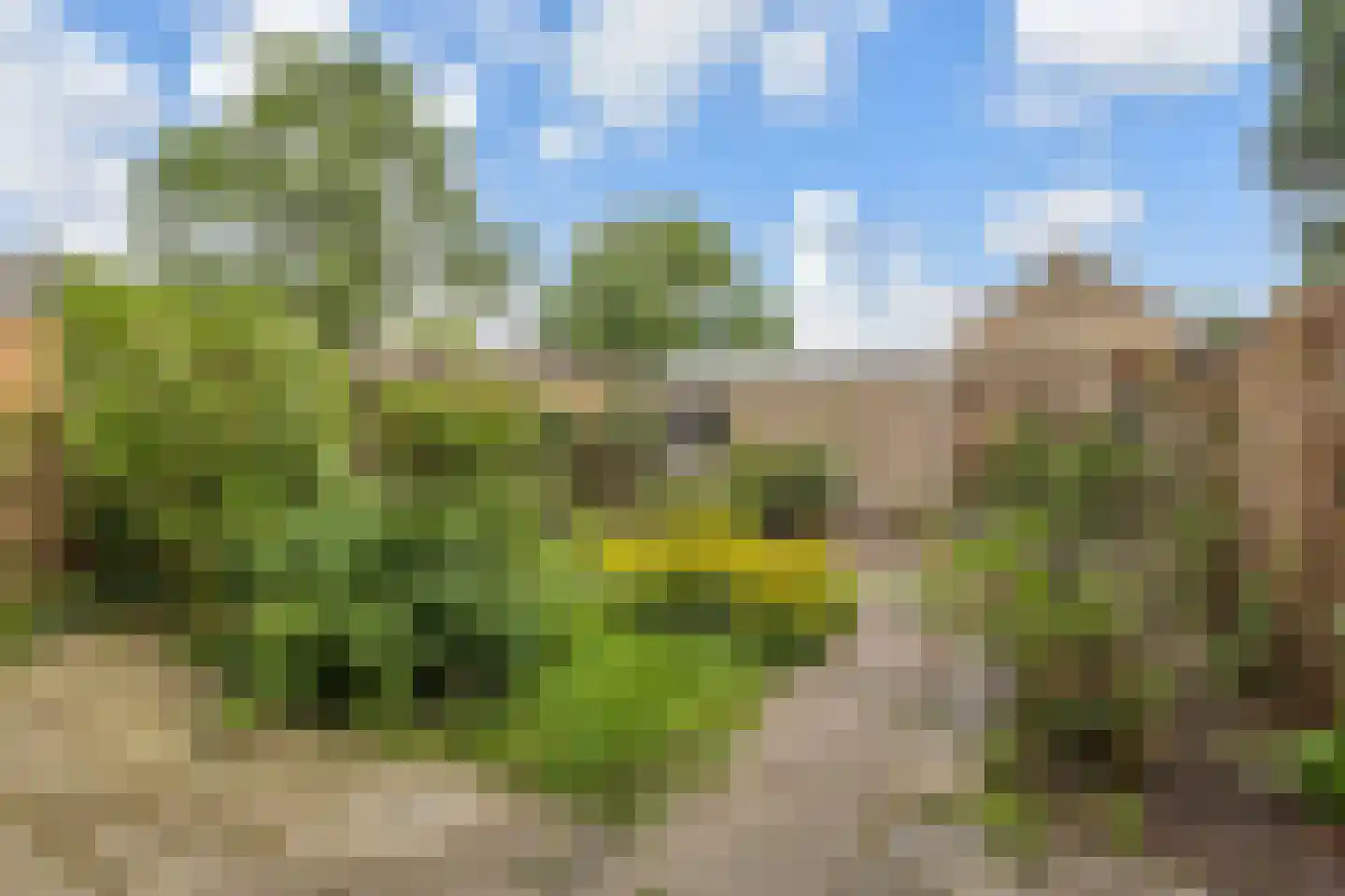 Peuleyen 162 Waddinxveen thumbnail 33