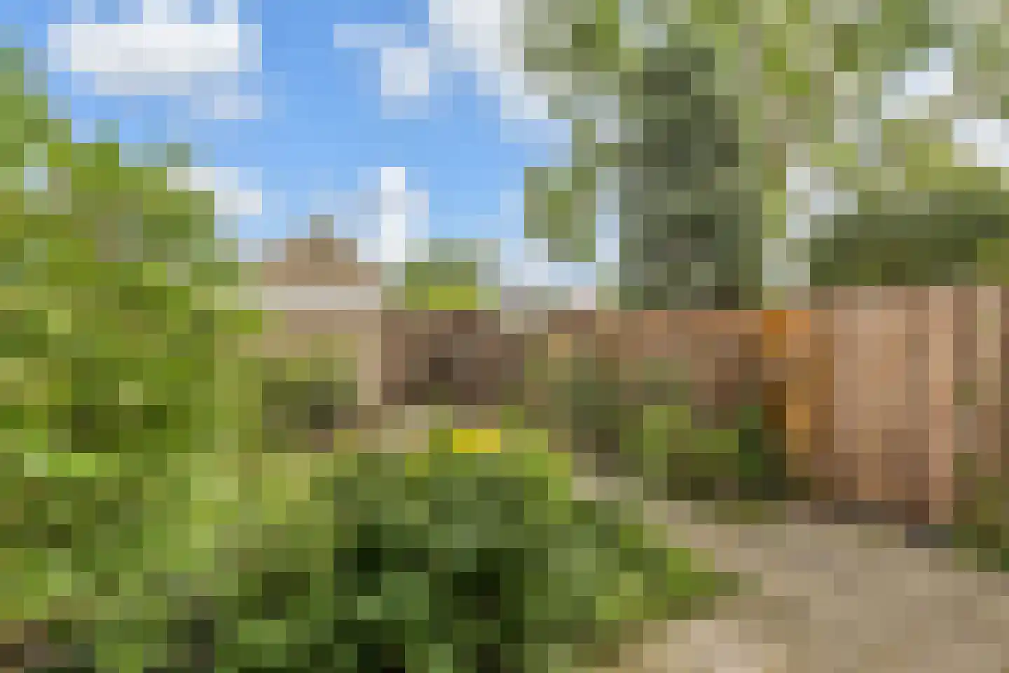 Peuleyen 162 Waddinxveen thumbnail 34
