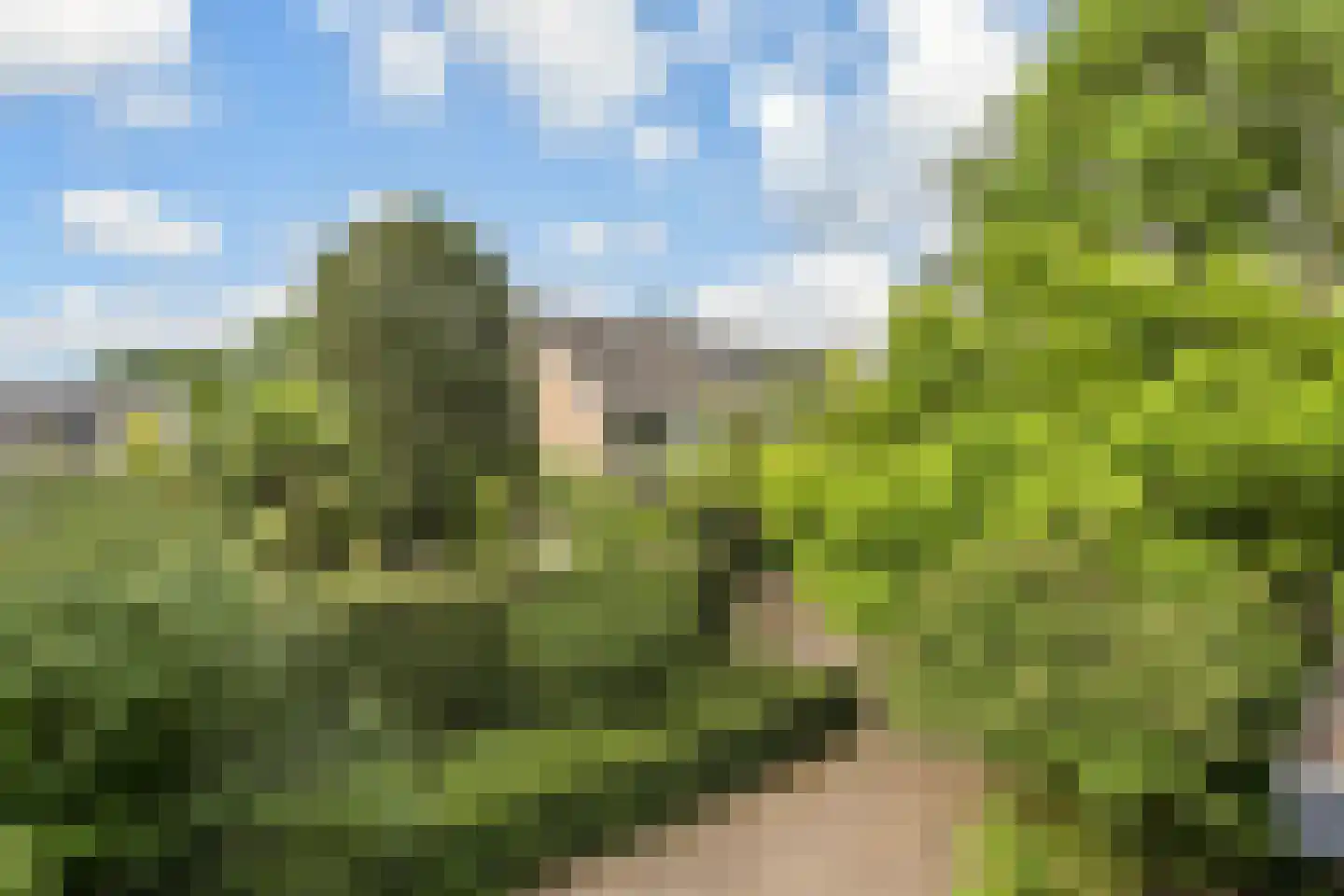 Peuleyen 162 Waddinxveen thumbnail 39