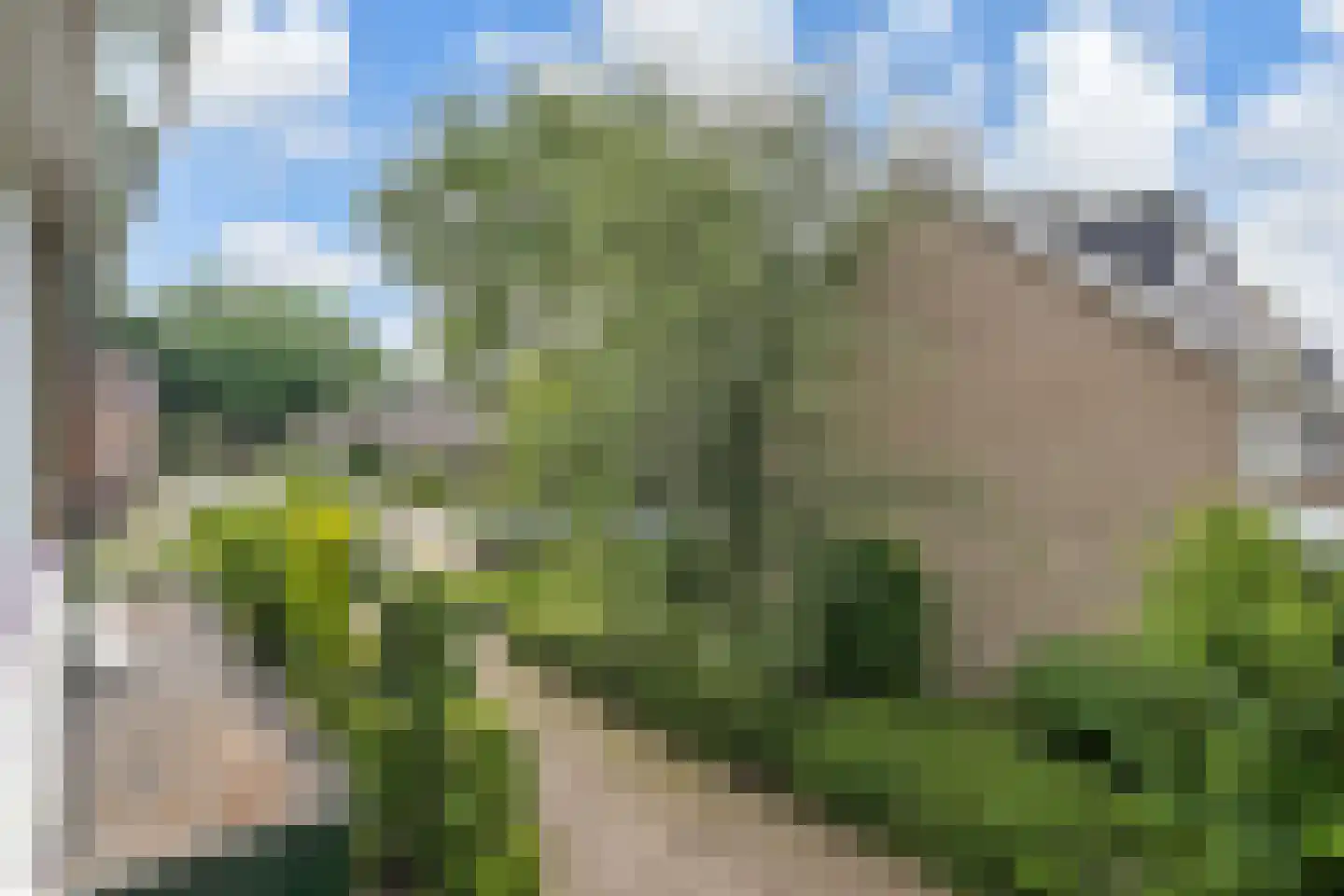 Peuleyen 162 Waddinxveen thumbnail 43
