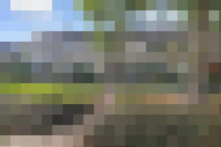 Peuleyen 202 in Waddinxveen