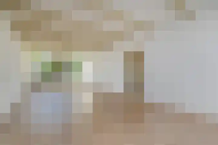 Peuleyen 202 Waddinxveen thumbnail 10