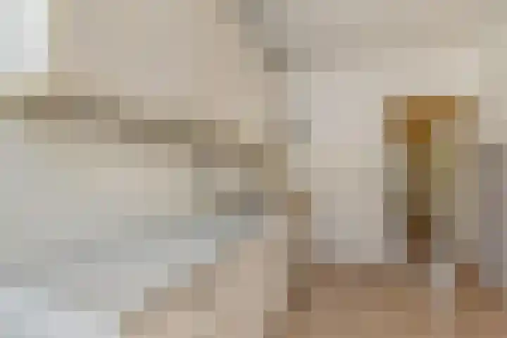 Peuleyen 202 Waddinxveen thumbnail 12