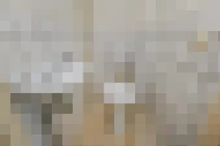 Peuleyen 202 Waddinxveen thumbnail 13