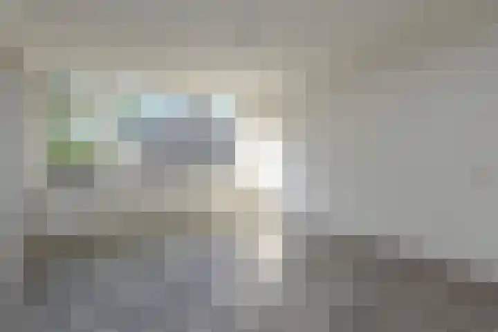 Peuleyen 202 Waddinxveen thumbnail 15