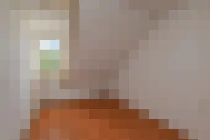 Peuleyen 202 Waddinxveen thumbnail 24