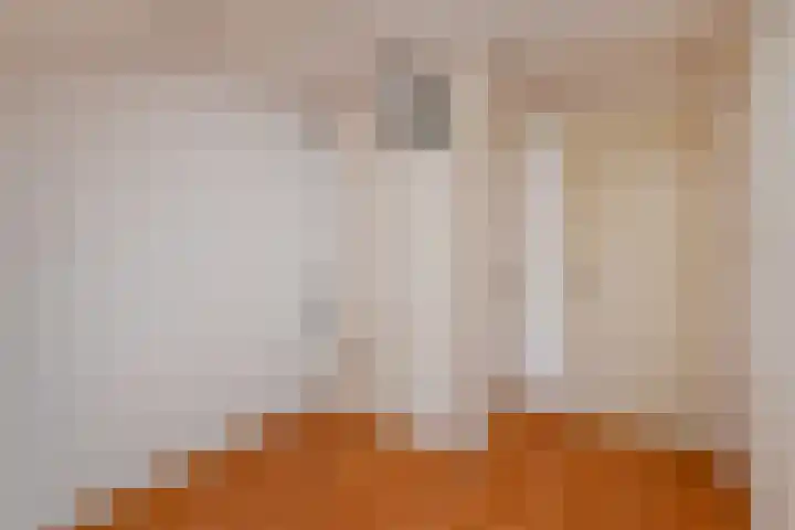 Peuleyen 202 Waddinxveen thumbnail 25