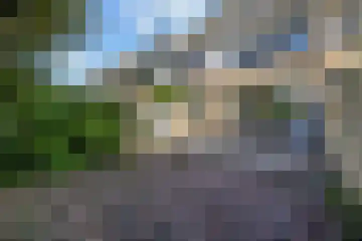 Peuleyen 202 Waddinxveen thumbnail 30