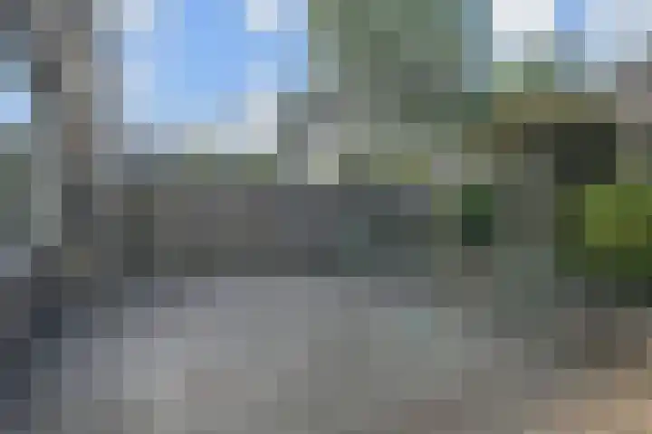 Peuleyen 202 Waddinxveen thumbnail 32