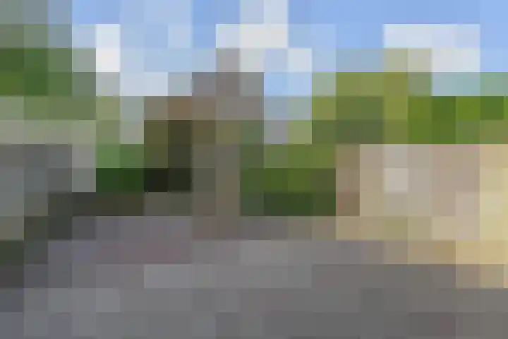 Peuleyen 202 Waddinxveen thumbnail 33