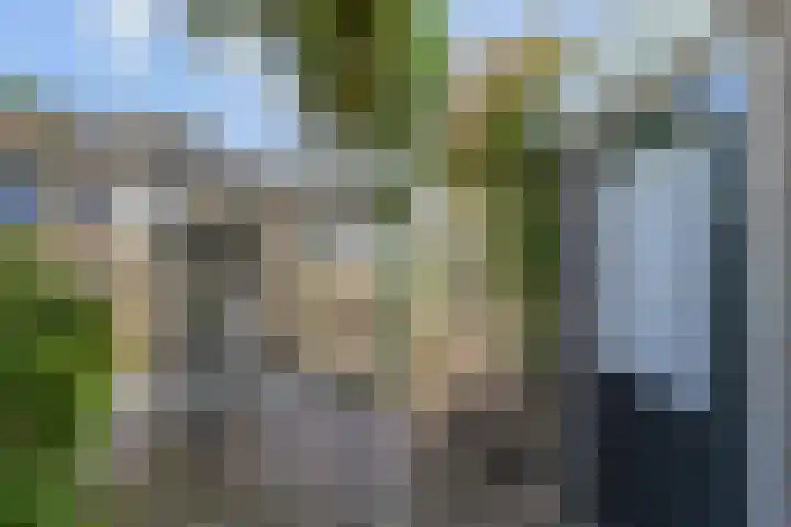 Peuleyen 202 Waddinxveen thumbnail 34
