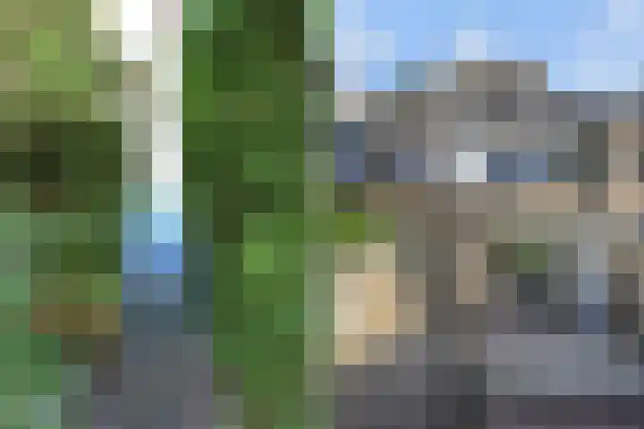 Peuleyen 202 Waddinxveen thumbnail 35