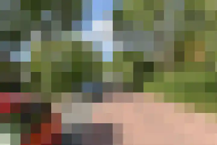 Peuleyen 202 Waddinxveen thumbnail 36