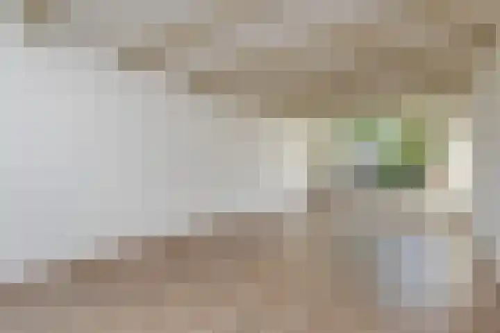 Peuleyen 202 Waddinxveen thumbnail 9