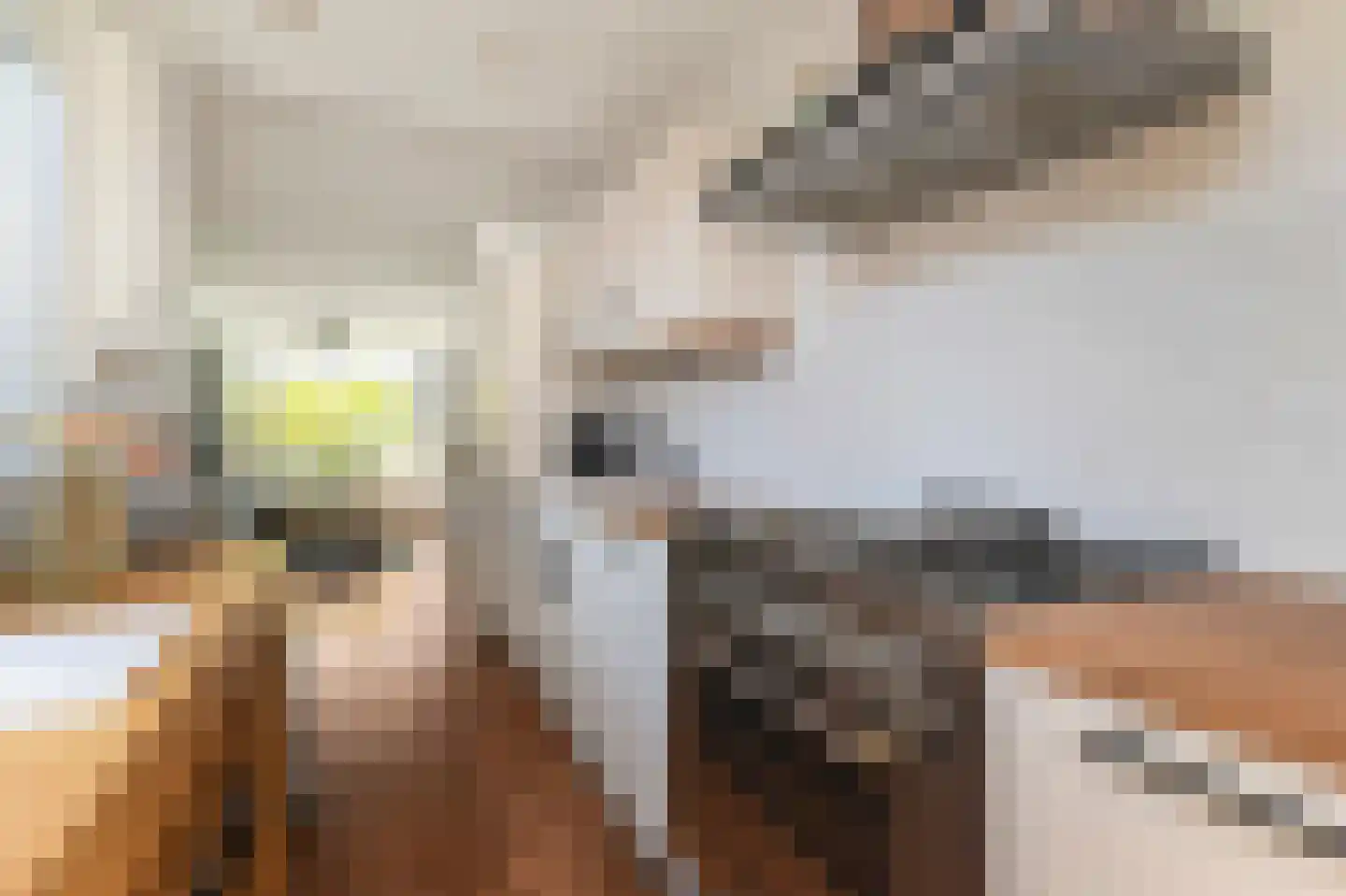 Peuleyen 21 Waddinxveen thumbnail 13