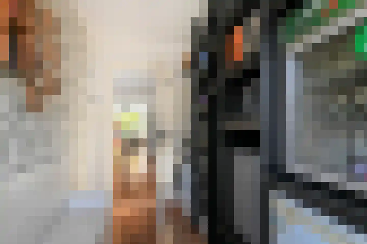 Peuleyen 21 Waddinxveen thumbnail 16