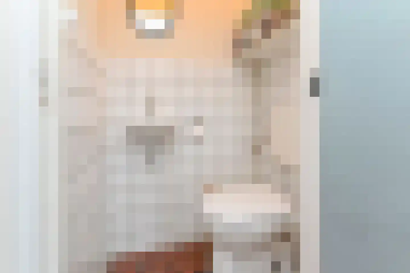 Peuleyen 21 Waddinxveen thumbnail 17