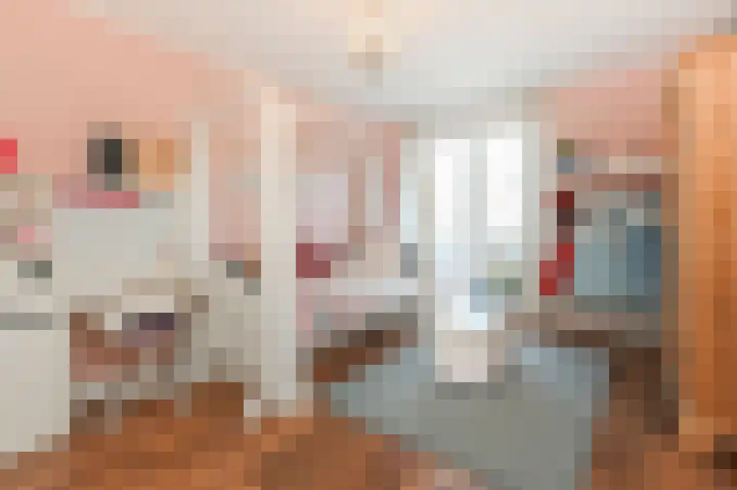 Peuleyen 21 Waddinxveen thumbnail 19