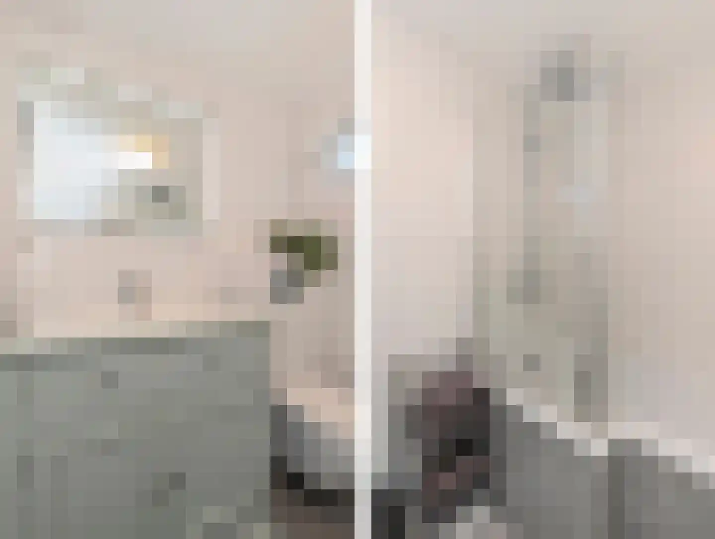 Peuleyen 21 Waddinxveen thumbnail 27