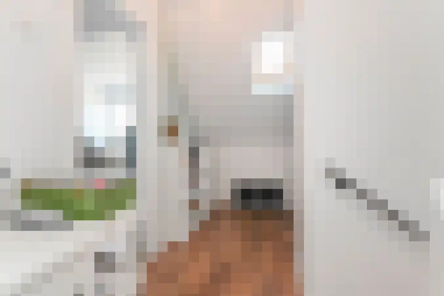 Peuleyen 21 Waddinxveen thumbnail 28