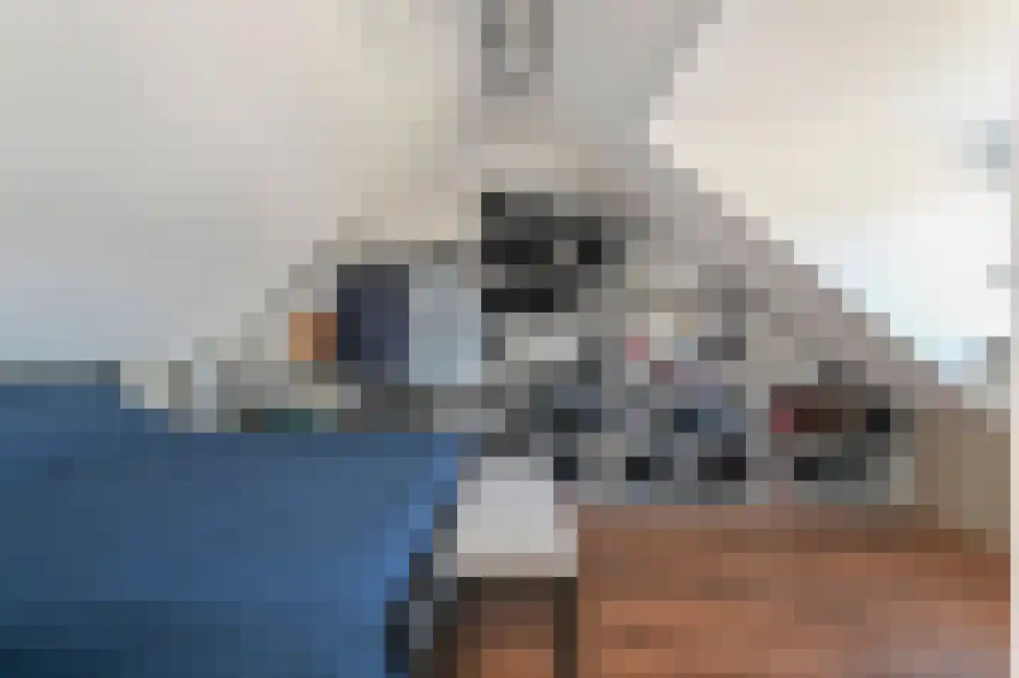 Peuleyen 21 Waddinxveen thumbnail 32