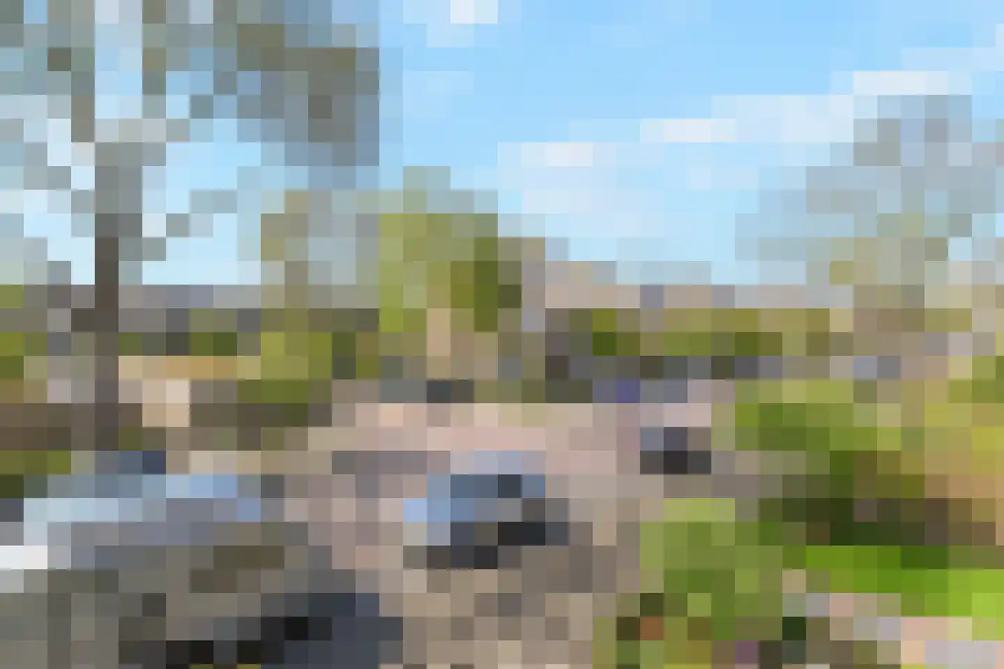 Peuleyen 21 Waddinxveen thumbnail 44
