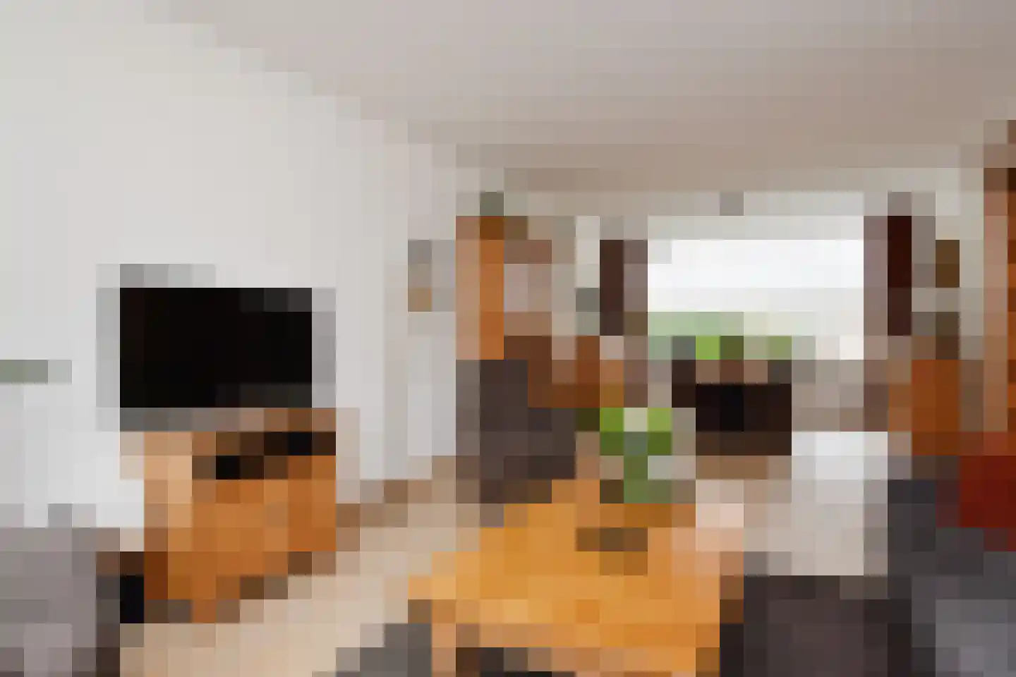 Peuleyen 42 Waddinxveen thumbnail 10