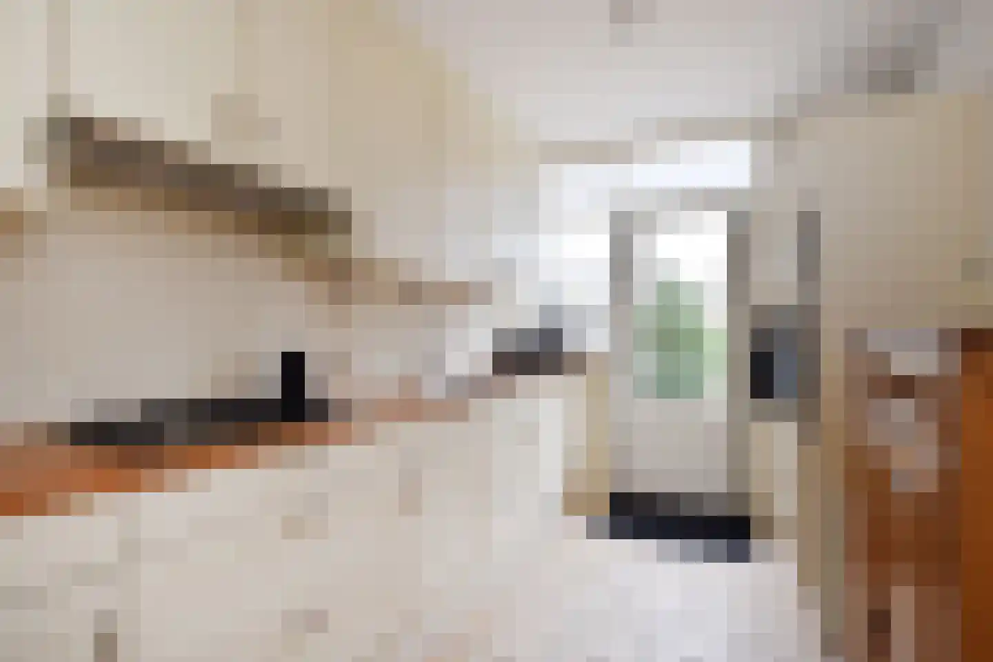 Peuleyen 42 Waddinxveen thumbnail 14