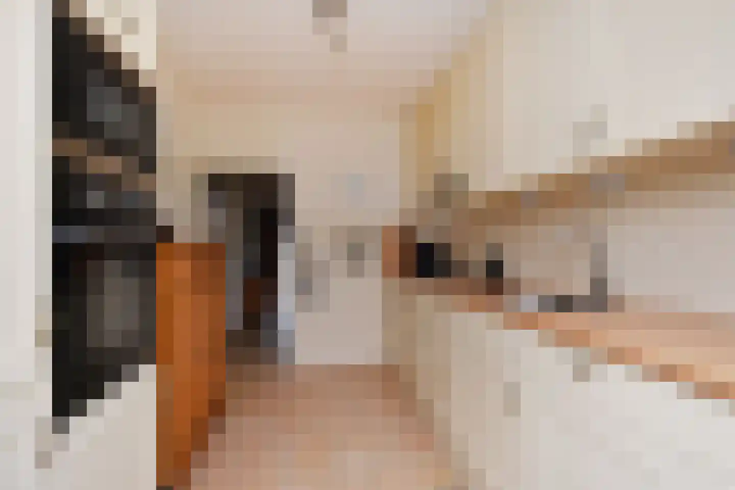 Peuleyen 42 Waddinxveen thumbnail 15