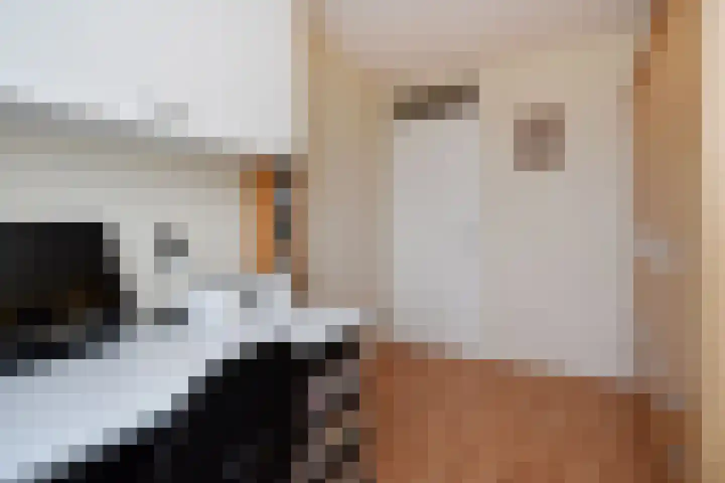 Peuleyen 42 Waddinxveen thumbnail 24