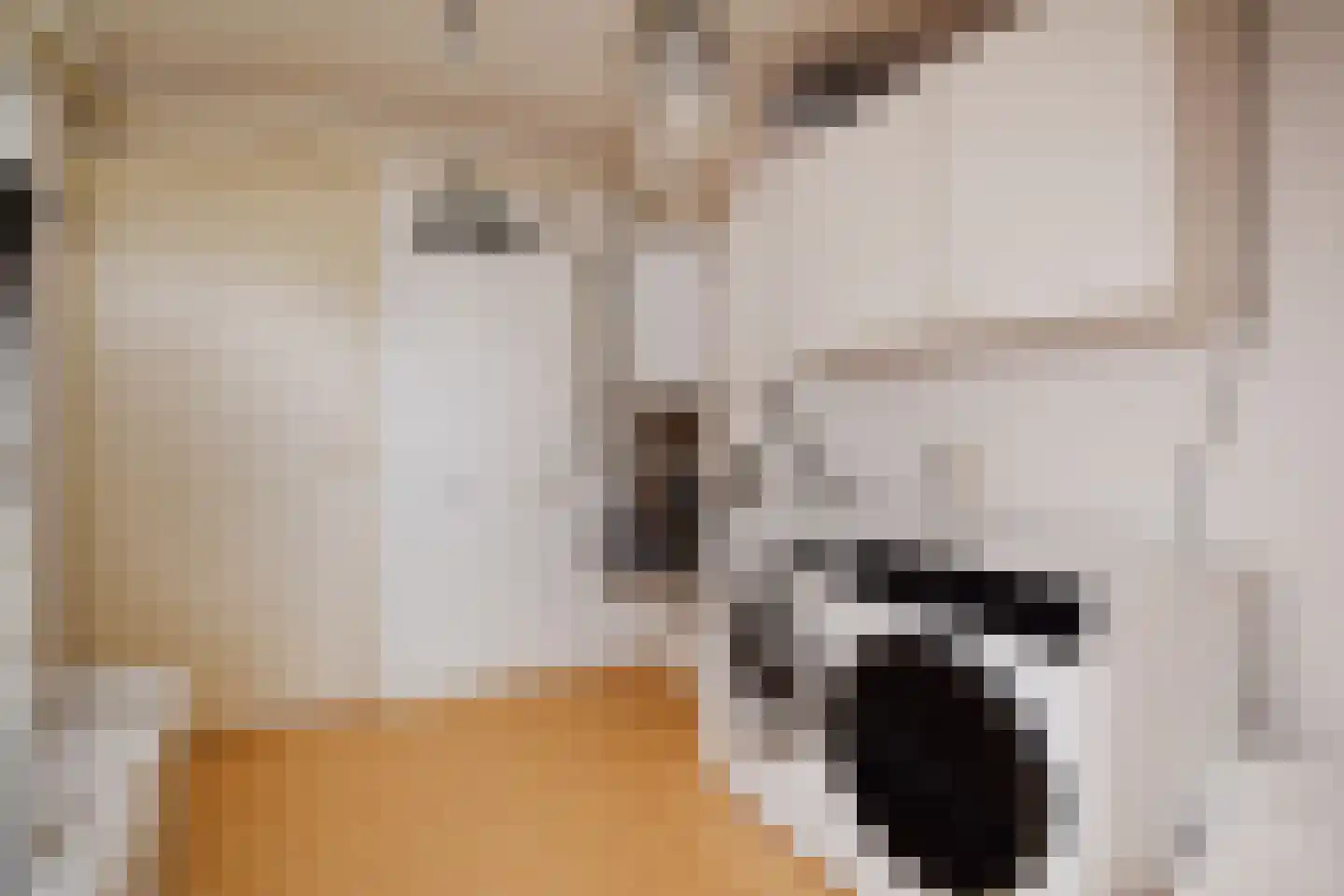 Peuleyen 42 Waddinxveen thumbnail 29