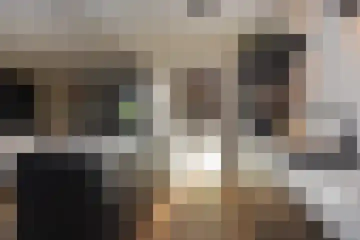 Peuleyen 46 Waddinxveen thumbnail 13