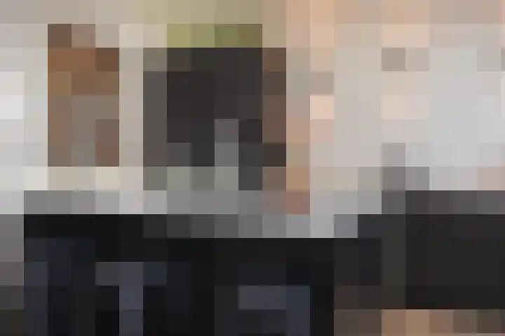 Peuleyen 46 Waddinxveen thumbnail 14