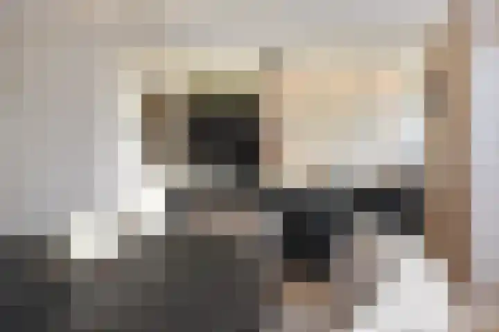 Peuleyen 46 Waddinxveen thumbnail 15