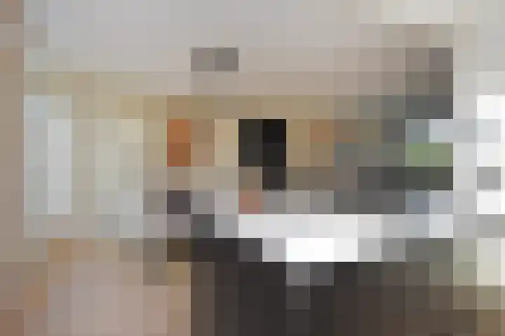 Peuleyen 46 Waddinxveen thumbnail 16