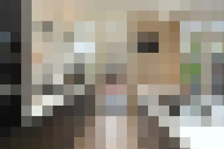 Peuleyen 46 Waddinxveen thumbnail 17