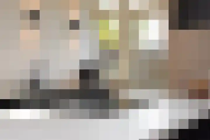 Peuleyen 46 Waddinxveen thumbnail 20