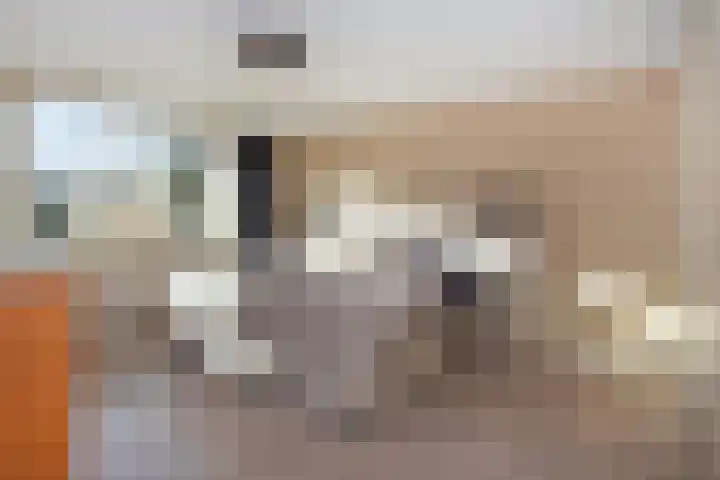Peuleyen 46 Waddinxveen thumbnail 29