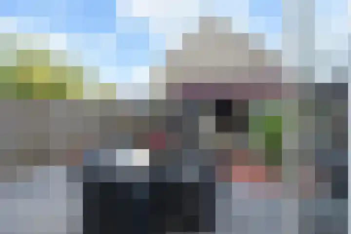 Peuleyen 46 Waddinxveen thumbnail 41